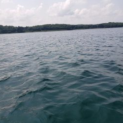 SUPフィッシング