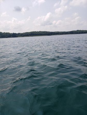 SUPフィッシング