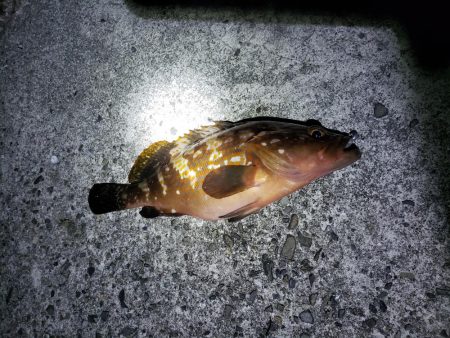 リベンジ達成！