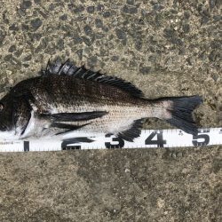 イチノ兄弟、釣果!