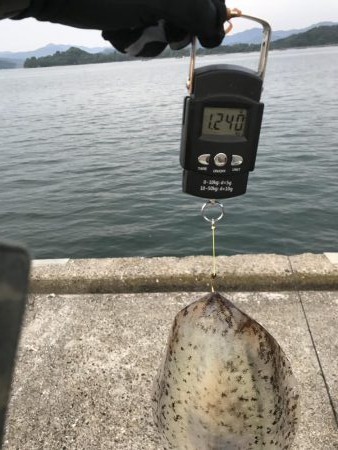 約1年半ぶりの投稿