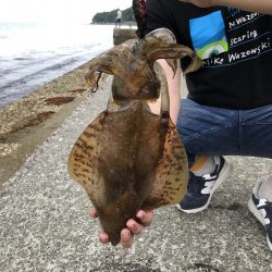 令和発 キロアップ