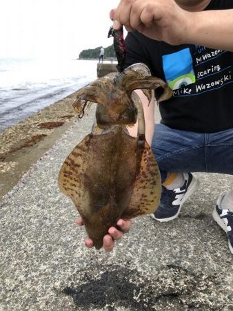 令和発 キロアップ