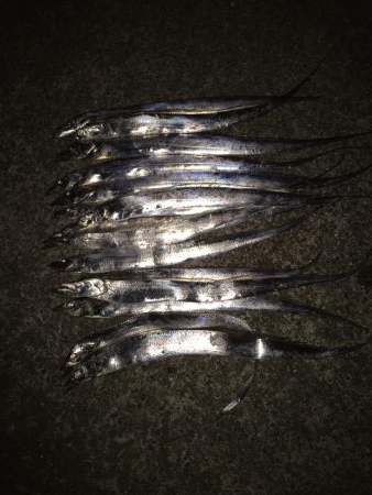 時合は22時から？