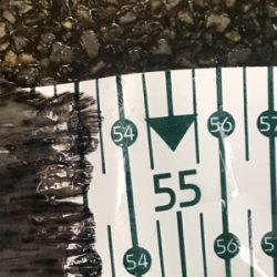 川場キングダム