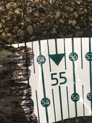 川場キングダム