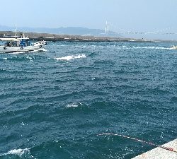 隣の釣り人がコブダイを