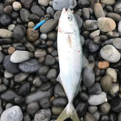 七里御浜ショアジギング