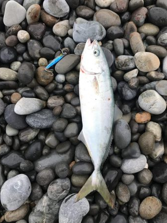 七里御浜ショアジギング