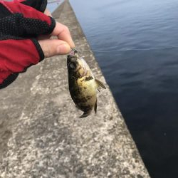 大変お久しゅうございます