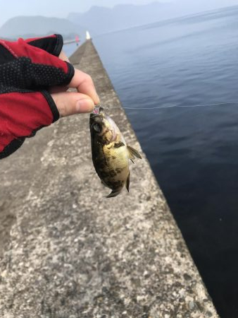 大変お久しゅうございます