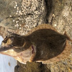 パワーブレードの威力!!