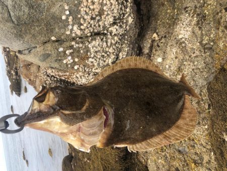 パワーブレードの威力!!