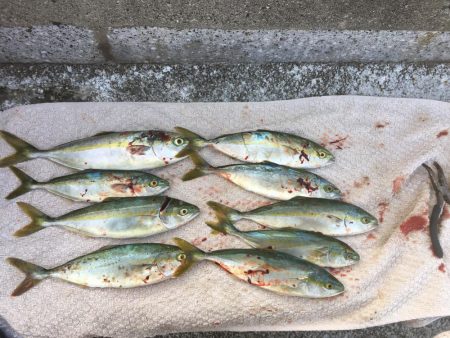 是非、読んでください