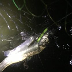 南風がややつよし