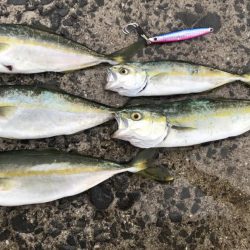 3連続バラシからの…