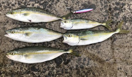 3連続バラシからの…