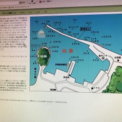 サビキでアコウ！