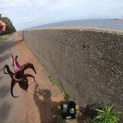 オクトパッシングで２杯