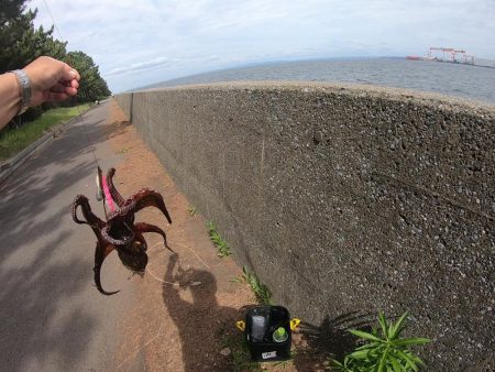 オクトパッシングで２杯