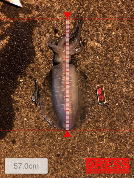 またもや二キロ越えか！？