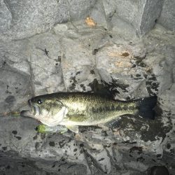 安物S字系で夕マヅメ