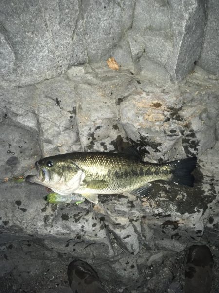 安物S字系で夕マヅメ