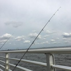 検見川浜の突堤にて