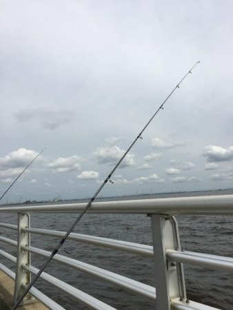 検見川浜の突堤にて