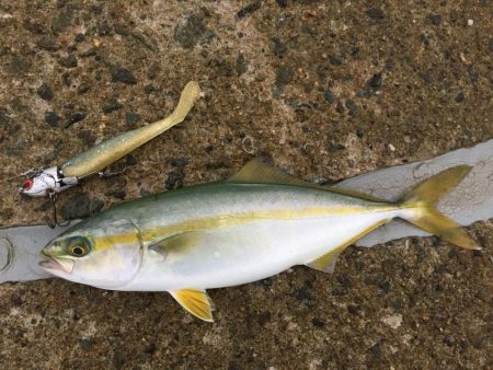 サイズダウンしてる