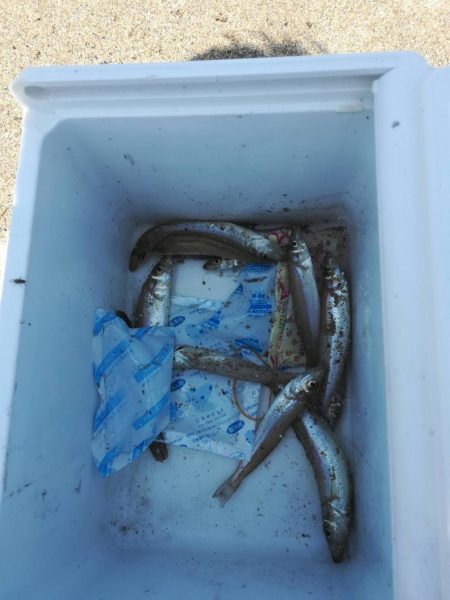 キス不調・・・？