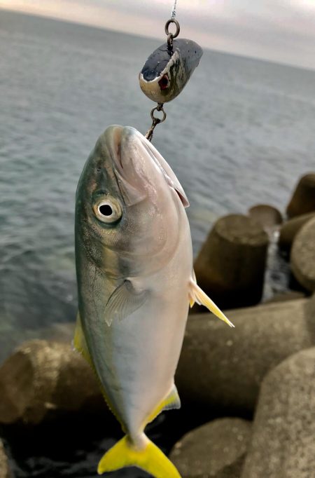 スーパーライトショアジギ‼&…