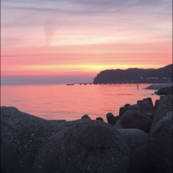 今年初の春イカ