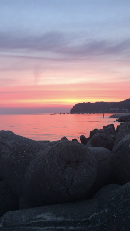 今年初の春イカ