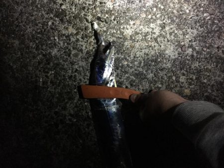 どっかいったか?