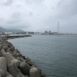 やっぱりアカンかったー