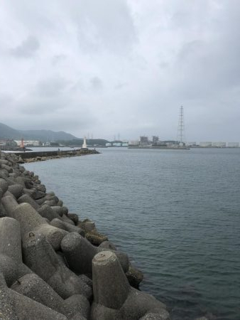 やっぱりアカンかったー