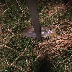 入れ替わりましたね!