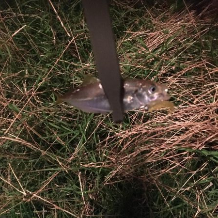 入れ替わりましたね!