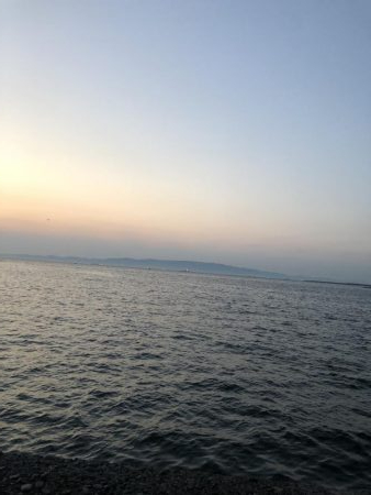 またまた青物不発