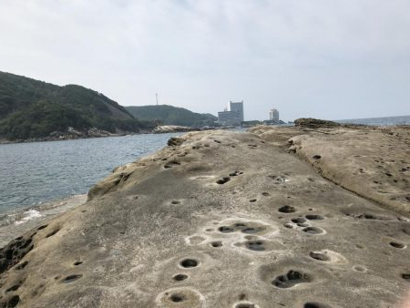 シーズン最後のアオリイカ!(◎_◎;)