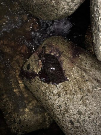 あたりはあるが