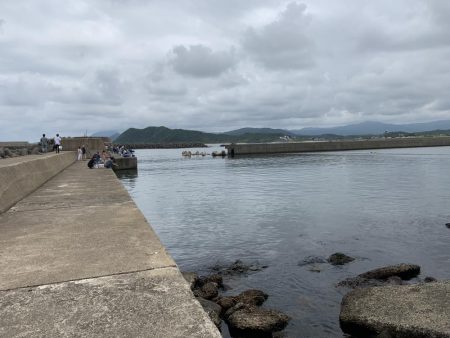 アジ、溜まってます！