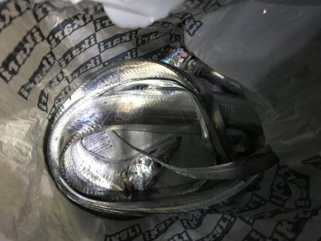 今年初の太刀魚