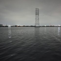 チニングの季節