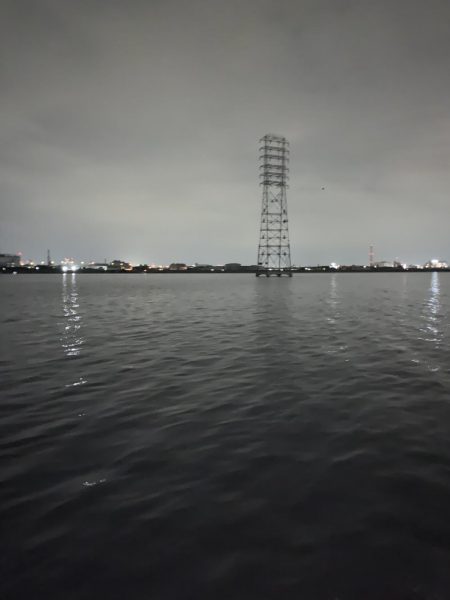 チニングの季節