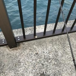 モジャ公とゆかいな仲間たち