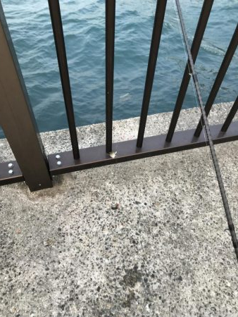 モジャ公とゆかいな仲間たち