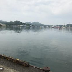 サビキで豆アジ