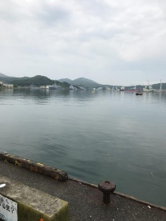 サビキで豆アジ